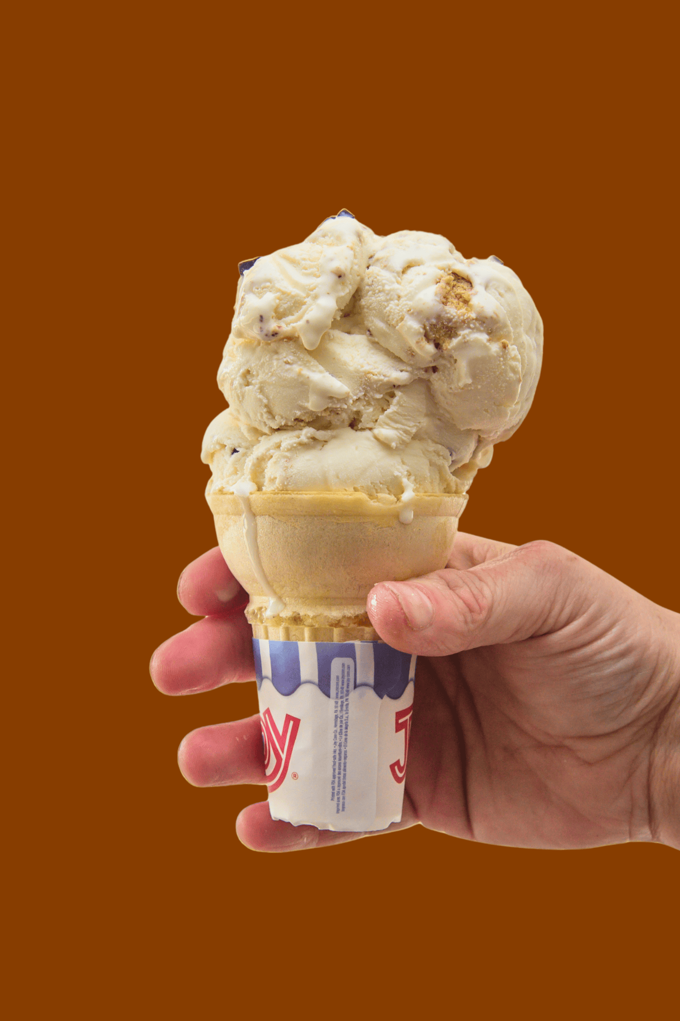 S'mores Hand Dipped Ice Cream